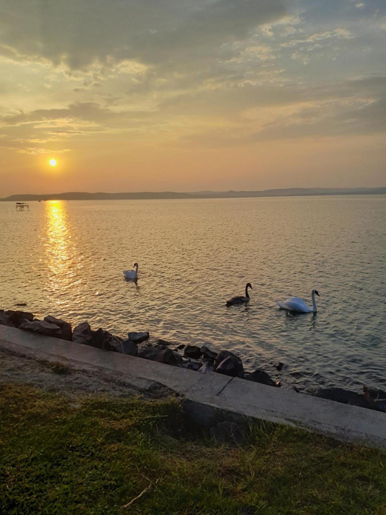 Traumlage Direkt Am See Balatonszárszó Exteriör bild